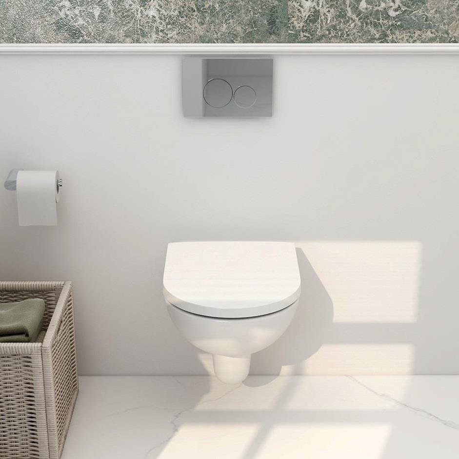 Aquarius Ricardo Rimless Wall Hung Toilet with Soft Close Seat