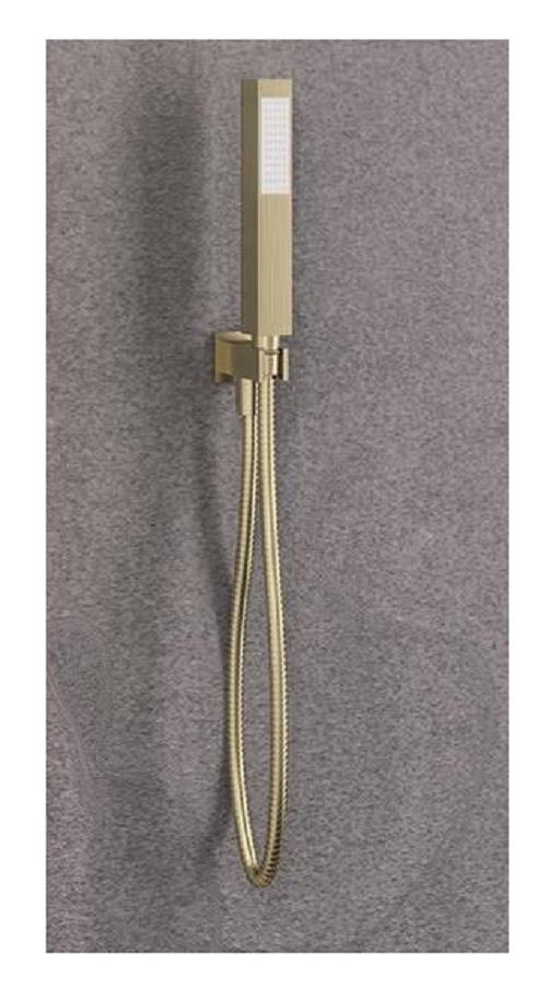 Aquarius Modern Square Wall Mounted Shower Kit with Outlet and Hose Brushed Brass AQ6010264445