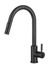 Aquarius TrueCook Series 93 Black Pull Out Single Lever Kitchen Mixer Tap AQTK093MB