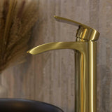 Aquarius Arc Tall Mono Basin Mixer Tap