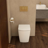 Aquarius JF-Series back to wall comfort height toilet in a contemporary bathroom