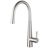 Aquarius TrueCook Series 9 Brushed Nickel Pull Out Single Lever Kitchen Mixer Tap AQTK009BN