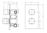 Aquarius RainLux Square 2 Outlet Concealed Shower Valve Brushed Brass AQRLV04BB