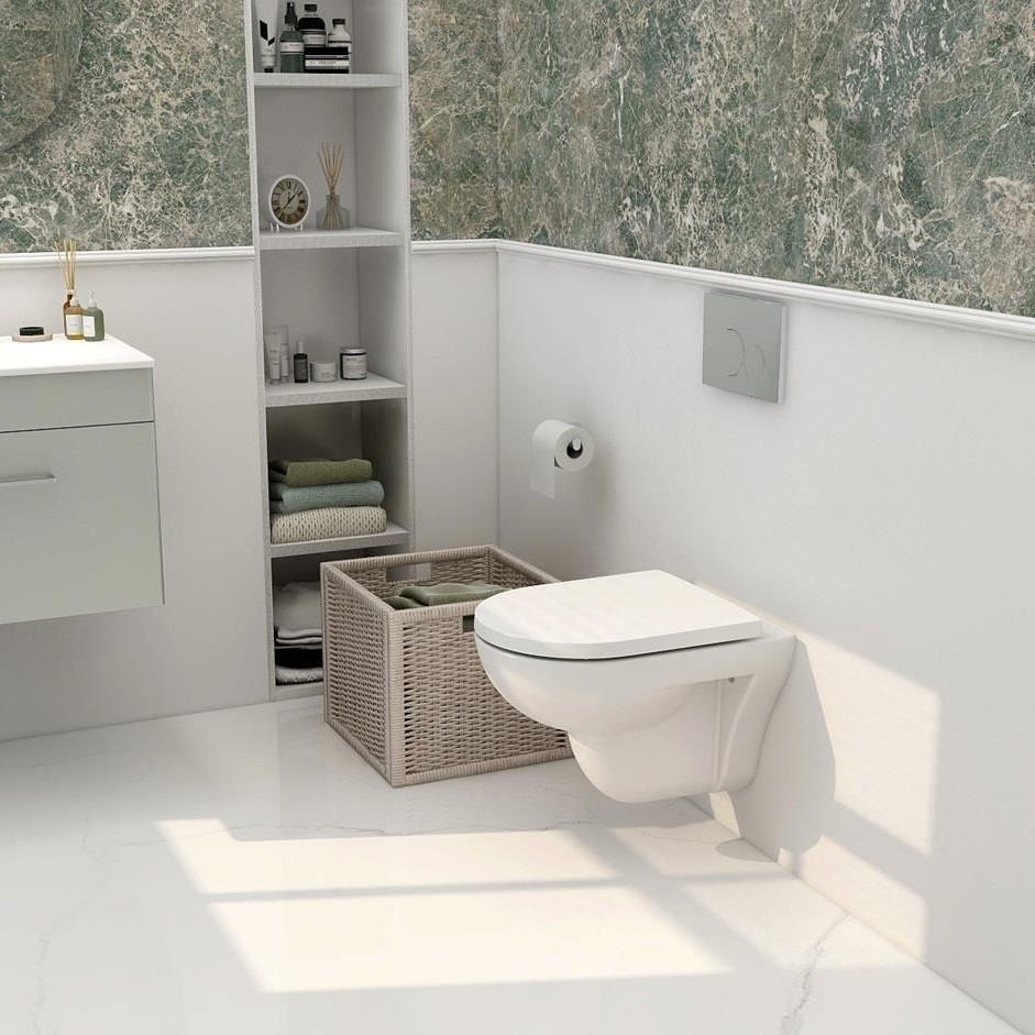 Aquarius Ricardo Rimless Wall Hung Toilet with Soft Close Seat