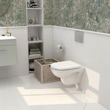 Aquarius Ricardo Rimless Wall Hung Toilet with Soft Close Seat