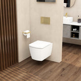 Aquarius JF-Series Wall Hung Pan and Soft Close Seat White