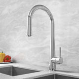 Aquarius TrueCook Series 9 Chrome Pull Out Single Lever Kitchen Mixer Tap AQTK009