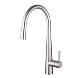 Aquarius TrueCook Series 9 Chrome Pull Out Single Lever Kitchen Mixer Tap AQTK009