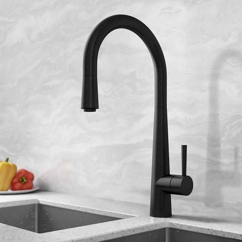 Aquarius TrueCook Series 9 Black Pull Out Single Lever Kitchen Mixer Tap AQTK009K