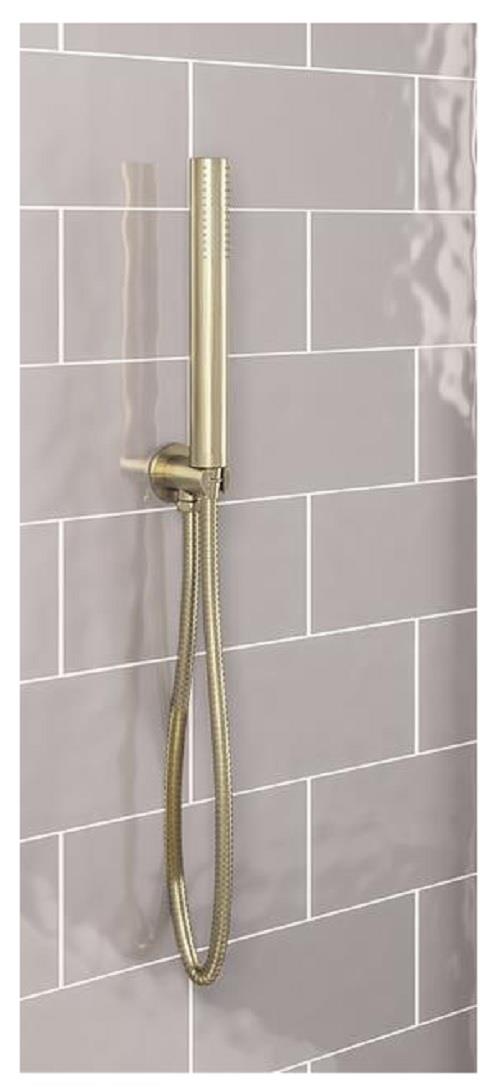 Aquarius Modern Round Wall Mounted Shower Kit with Outlet and Hose Brushed Brass AQ60102456