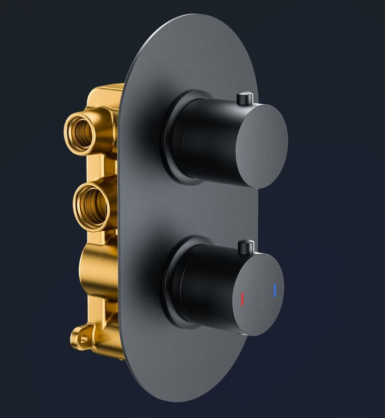 Aquarius RainLux Round 2 Outlet Concealed Shower Valve Matt Black AQRLV03MB