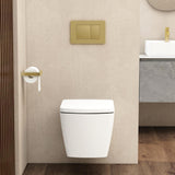 Aquarius JF-Series Wall Hung Pan and Soft Close Seat White