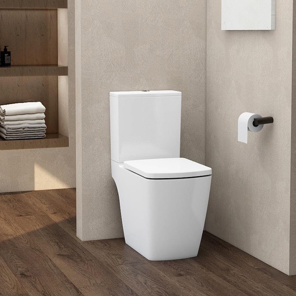 Aquarius JF-Series Rimless Comfort Height Open Back C/C Pan, Cistern and Soft Close Seat