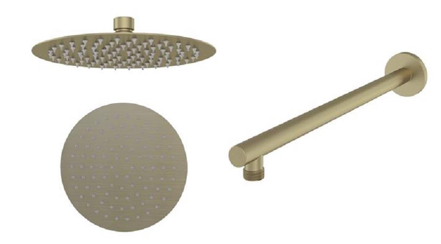 Aquarius Modern Round Over Head 8" Shower Head & Arm Brushed Brass AQ60102221