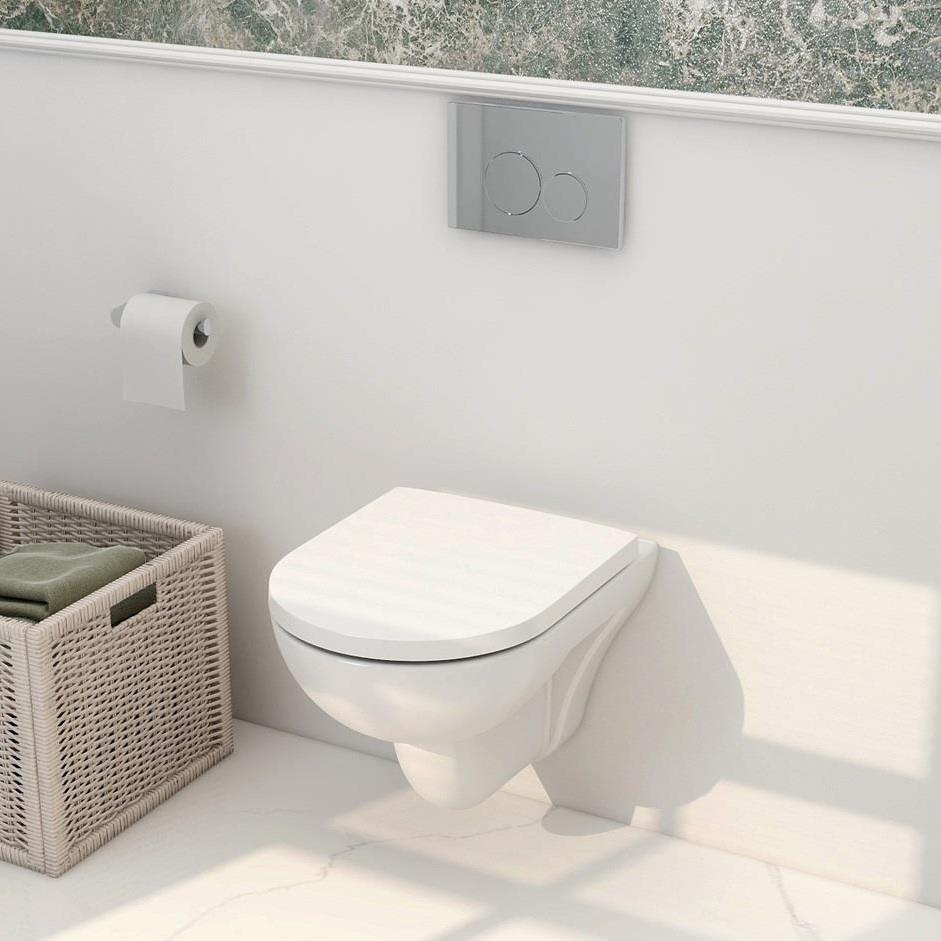 Aquarius Ricardo Rimless Wall Hung Toilet with Soft Close Seat